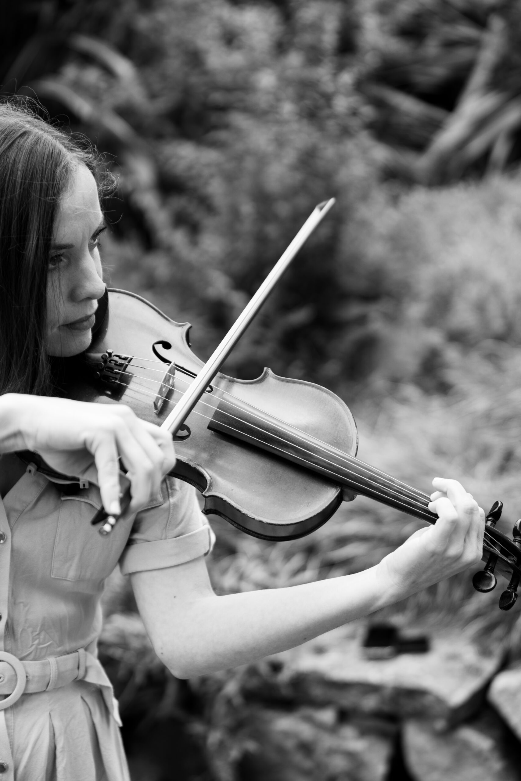 violoniste pour cérémonie laïque